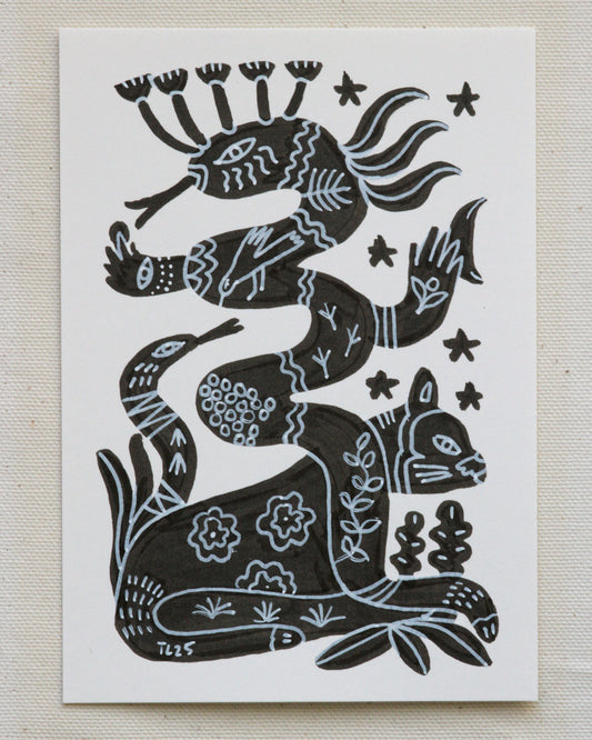 Transforming Light (Original)